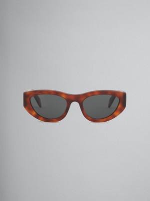 Marni Acetate Rainbow Mountains Olika Färger | SEQAV90671