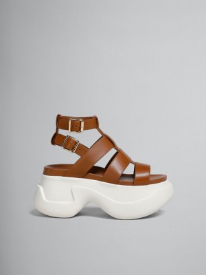 Marni Läder Aras 23 Gladiator Sandal Bruna | YSEVQ80608