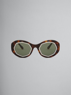 Marni Mount Brumo Acetate Olika Färger | SEQCS11715