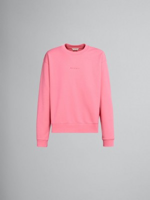 Marni Sweatshirt With Logo Rosa | SEXBR68085