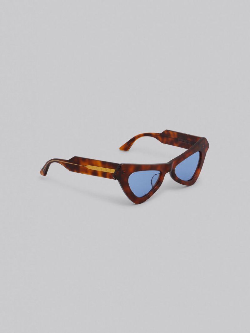 Marni Fairy Pools Havana Acetate Orange | MSEFT88093