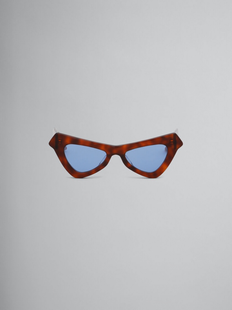 Marni Fairy Pools Havana Acetate Orange | MSEFT88093