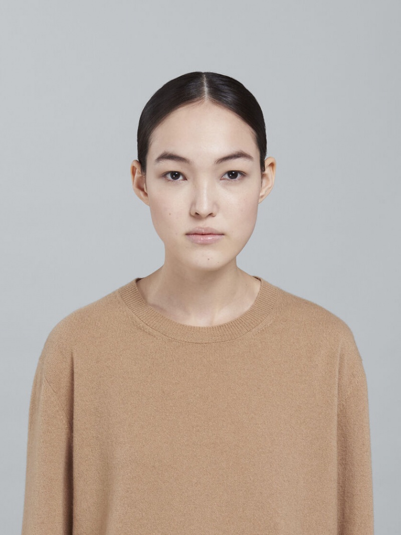 Marni Logo Cashmere Crewneck Tröja Beige | SEICD62127